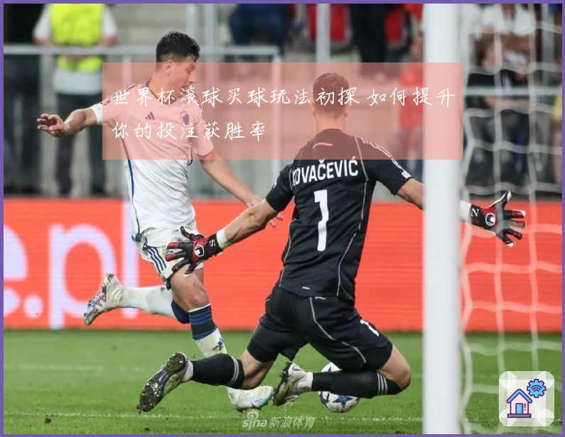 世界杯滚球买球玩法初探 如何提升你的投注获胜率