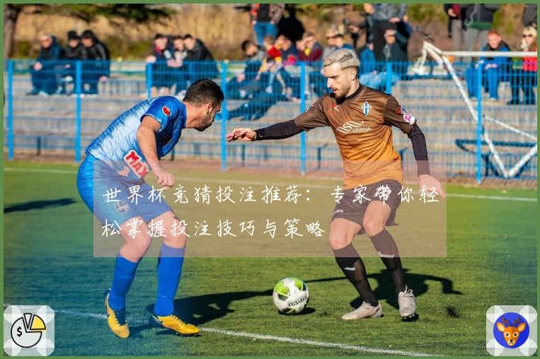 世界杯竞猜投注推荐：专家带你轻松掌握投注技巧与策略