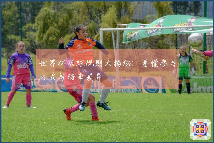 世界杯买球规则大揭秘：看懂参与方式与赔率差异